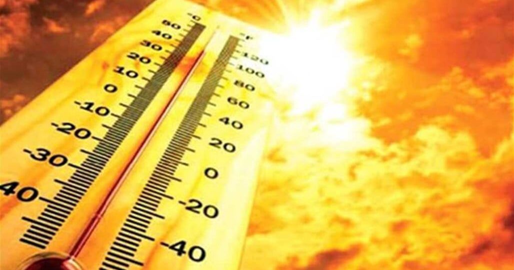 هل زادت أعداد الذباب والناموس؟ مركز المناخ المصري يوضح الحقيقة